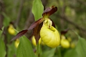DSCN3408