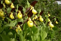 DSCN3418a