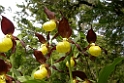 DSCN3423