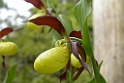 DSCN3435