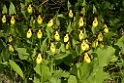 DSCN3439