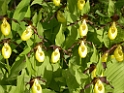 DSCN3440