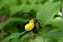 Fruesko.20110604_7599