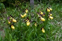 Fruesko.201201jun_5100