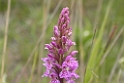 DSCN3392