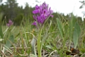 DSCN3466