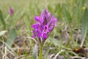 DSCN3467