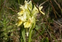 DSCN2703