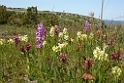 DSCN3146