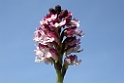 DSCN3143