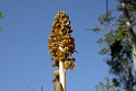 DSCN3359
