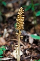 Rederod_DSC8368_20130602