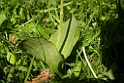 DSCN3058