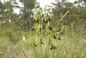 DSCN3574