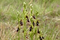 DSCN3576