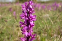 DSCN2707