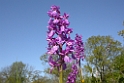 DSCN2797