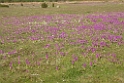 DSCN2846