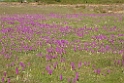 DSCN2847