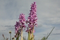 DSCN2852