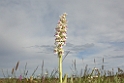 DSCN2853