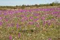DSCN2858