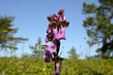 DSCN3509