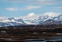 Denali Hwy.20120618_2769