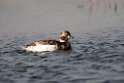 Havlit.20120613_2325