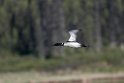Islom.20120618_2754