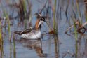 Odinshane.20120623_3744