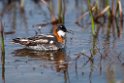 Odinshane.20120623_3767