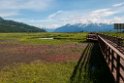 Potter Marsh.20120630_5090