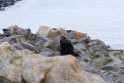 Sæl.20120624_4225