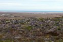 Teller road.20120610_1034