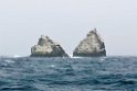 Shag Rocks.20081110_3368