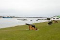 Stanley.20081108_3283