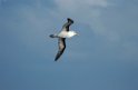 DSCN0236a
