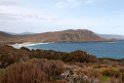Cape Bruny.20101113_4346
