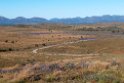 Flinters Range.20101104_3219