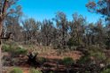 Gluepot Reserve.20101105_3268