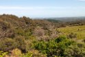 Great Otway N.P.20101109_3558