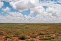 Strzelecki Track.20101030_1807