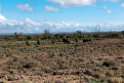 Strzelecki Track.20101030_1897