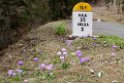 Flowers.20100424_0729