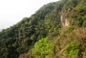 Forest.20100424_0570