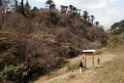 Yotong La.20100424_0156