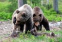 Bjørn.20070615_3326