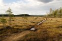 Landskab_SWE5393