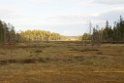 Landskab_SWE5394